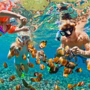 Boat, Surf, & Snorkel